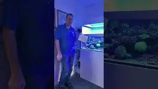 Smarter testing. Stronger reefs. 🪸💪 #neptunesystems #coralreef #saltwateraquarium #reeftank #sea