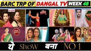 Dangal TV Barc Trp of Week 48 (2025) : Pati Brahmachari, Mann Sundar, Jhalli