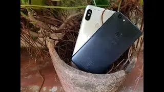 Xiaomi Redmi Note 5 Pro vs Vivo V7 Camera Comparison