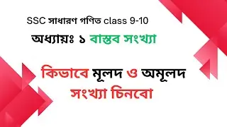 ২ । কিভাবে মূলদ ও  অমূলদ সংখ্যা চিনবো ?
