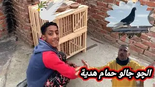 الچو جالو حمام جديد هدية من بطل طنطا المهندس رامى#التربووابوحازم