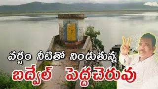 Badvel Pedda Cheruvu Water Art Launched