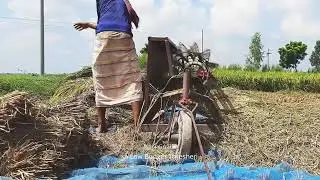 Threshing on a Shoestring: Maximizing Efficiency with a Low Budget Thresher