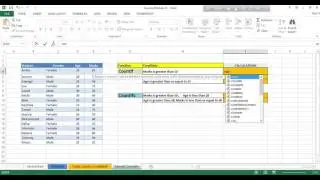 MS Excel Count Function