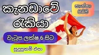 වැටුප ලක්ෂ 6 යි. සුදුසුකම් අවශ්&zwj;ය නෑ. රියදුරු, childcare jobs in canada government job sri lanka