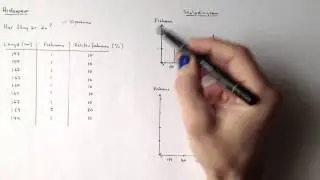 Histogram