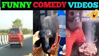 ultra legends thug life comedy videos  [part17]