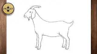 How to draw a goat easy step by step