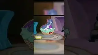tom & jaryy cartoon #shortvideo #ytshorts #tomandjerry #tomjerrymemes