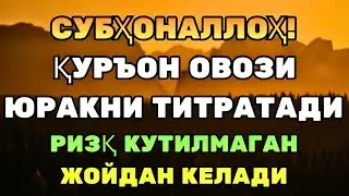 МОЖИЗА! ҚУРЪОН ҚАЛБНИ ТОЗАЛАБ, РИЗҚНИ ЯҚИНЛАШТИРАДИ!