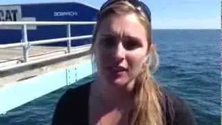 On The Spot #25 - Shannon Corrigan of Grice Marine Lab CofC