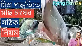 মিশ্র পদ্ধতিতে মাছ চাষের সঠিক নিয়ম।Correct rules for mixed fish farming.