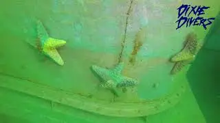 Dixie Divers Okinawa Shipwreck Dive