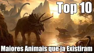 Os 10 Maiores Animais que já Existiram - Top 10
