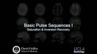 M219 2016 Lecture 6 -  Basic Pulse Sequences I (Dr. Daniel Ennis)