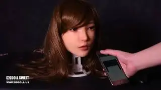 DS doll Robotic head progress