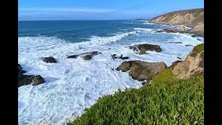 Bodega Head