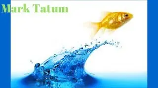 Catch Aquarium Fish - Mark Tatum