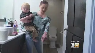 Families Say Their Bedford Apartment Complex Is Unliveable
