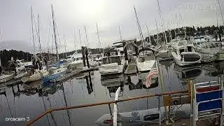 orcacam 3
