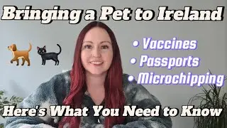 Importing Pets to Ireland - Here's What You Need to Know if considering a move