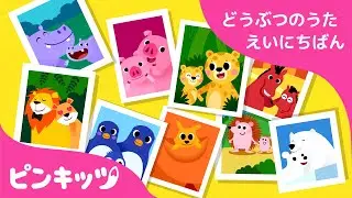 どうぶつのかぞく | どうぶつのうた 日英版 | 子ども向け 英語の歌 | おうち英語 | 知育動画 | キッズソング | ピンキッツ！