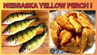 Bank Fishing For Nebraska Yellow Perch