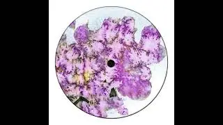 Akls - 2002+ [AKLS002]