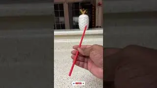 🥔 Potato and Straw Trick 😂 : Real or Fake #shorts