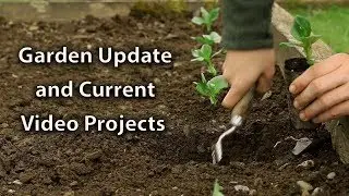 Growing Update + Weekly Videos are Coming Back!
