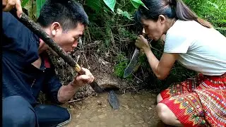 Wild Survival - Digging a crab hole must be a large catfish cave