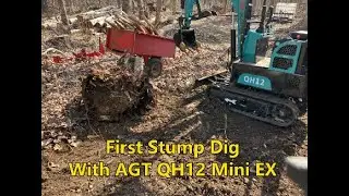 Stump Dig Number 1