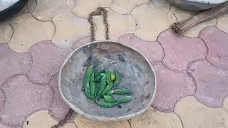 हमारी बगीची में नई सब्जी लगने लगी llx😇#ब्लॉग्स