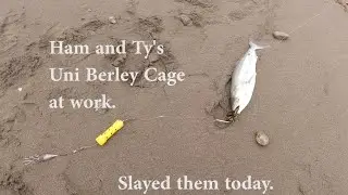 Epic day using the Uni Berley Cage with Murphy's brew berley.