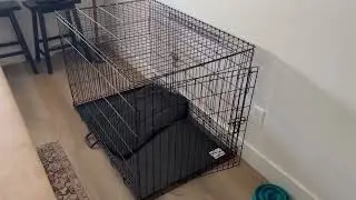 Amazon Basics Durable, Foldable Metal Wire Dog Crate with Tray Review