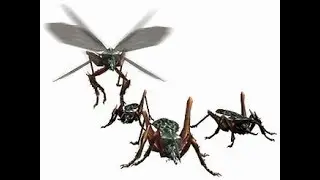 Monster Hunter World :Fastest way to farm Hornetaur Carapace and Innerwings...