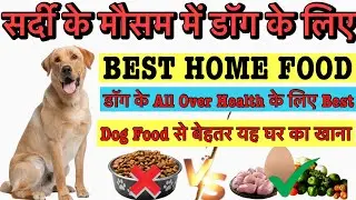 Sardi ke Mausam Me Dog Ko Kya Khilaye? | Best Home Food for Dogs in Winter | Hindi
