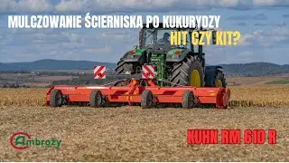 Dlaczego warto mulczować ściernisko po kukurydzy?