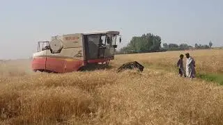 GM80 Combined Harvestor