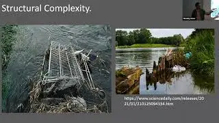 Is fly-tipping good for biodiversity?  The importance of complexity in new landscape design