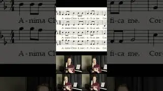 #music #choir #Palestrina #vocal #acapella #opera #bass #tenor #alto #soprano