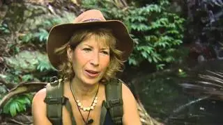 Charlie And Jennie Come To Blows | I'm A Celebrity... Get Me Out Of Here!