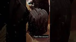 feel the sound#mosquito #slumberqueen #animals #buzzingvideo