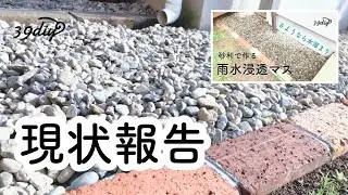 【DIYその後】雨水浸透マスの現状をご報告します！