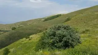 kelmizi dari kilisi.