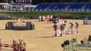 Rosie CSI Amateur Bolesworth 2014