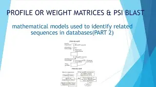 PROFILE OR WEIGHT MATRICES & PSI-BLAST | Mathematical Models - B.Sc/M.Sc Bioinformatics
