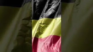 🇧🇪 Belgium Flag: Where Diversity Meets Unity! #Belgium