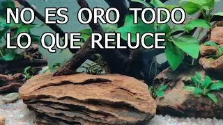 Repaso mensual a Isla Anubia #3