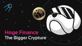 The Bigger Crypture w/ Swapzone: Hoge Finance Marketing Hayden Matthews